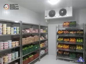Cold Storage Chiller untuk HoReCa: Strategi Penyimpanan Dingin yang Aman dan Higienis